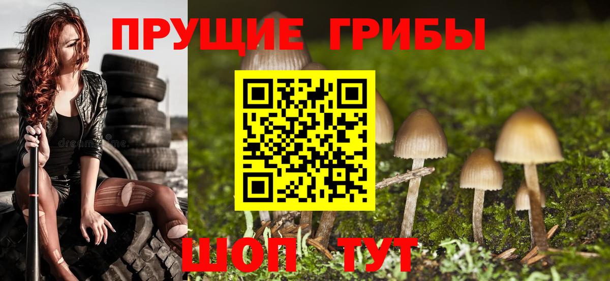 Псилоцибиновые грибы прущие грибы Ногинск